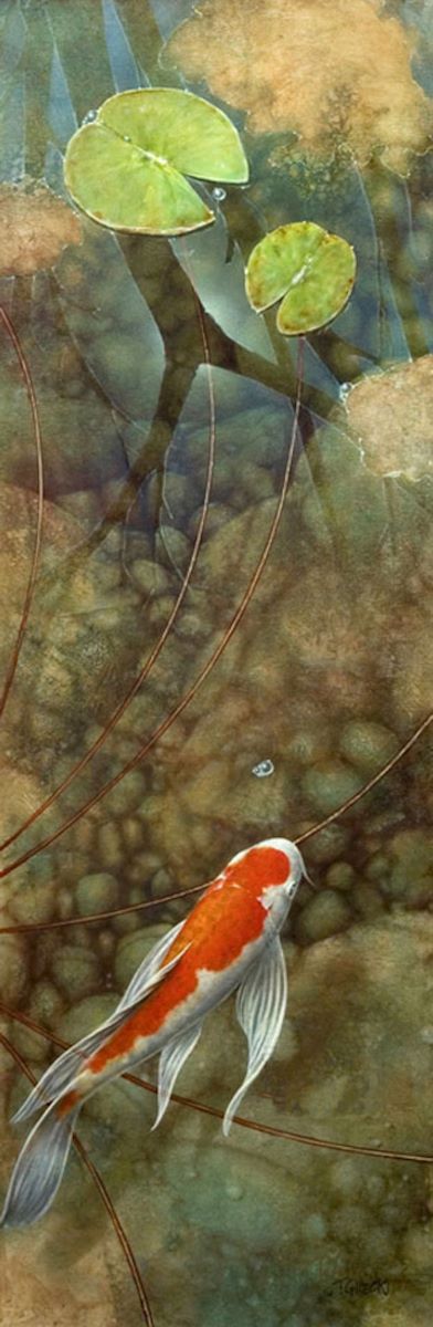 Solitaire Koi Fish
