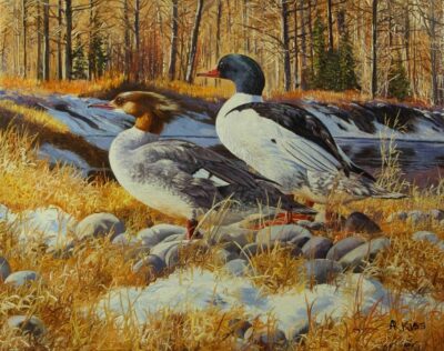 nature's duet 16 x 20