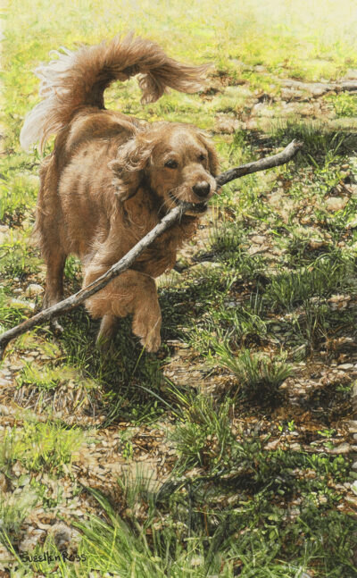 stick and shade3.75x6